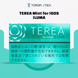 TEREA Mint in UAE